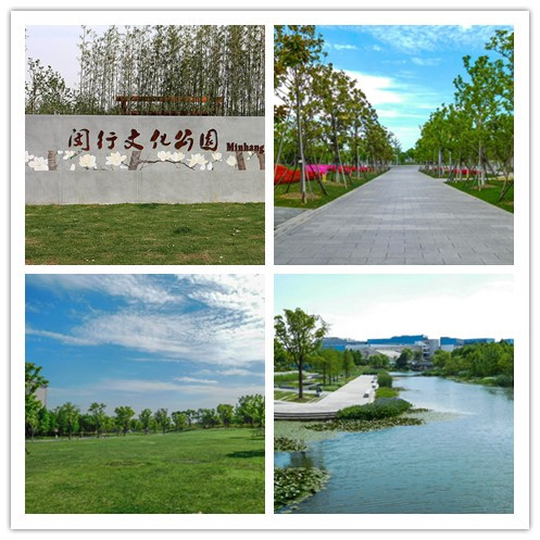 QQ图片20180920161620.png